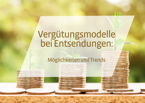 📹 Vergütungsmodelle bei Entsendungen - Möglichkeiten und Trends