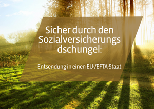 📹 Sicher durch den Sozialversicherungsdschungel - Entsendung in einen EU-/EFTA-Staat