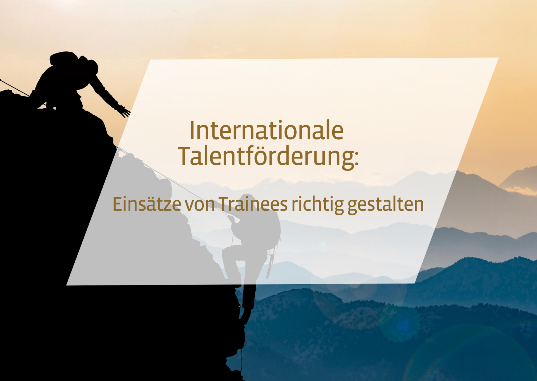 Webinar für Trainees im internationalen Bereich